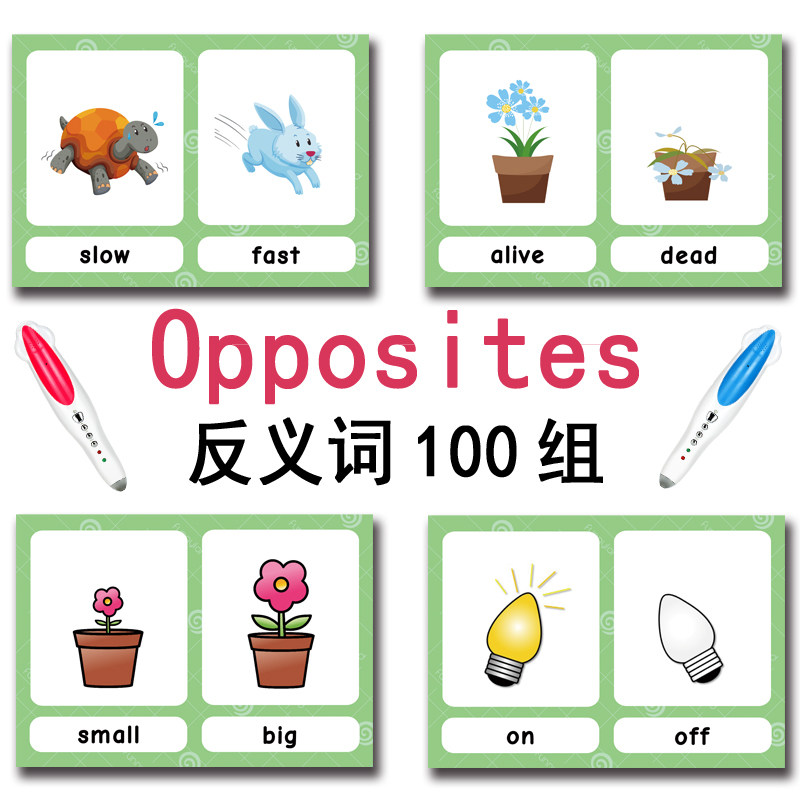 The 100 Groups Opposites Flash - Kids Toys Young recension och pris