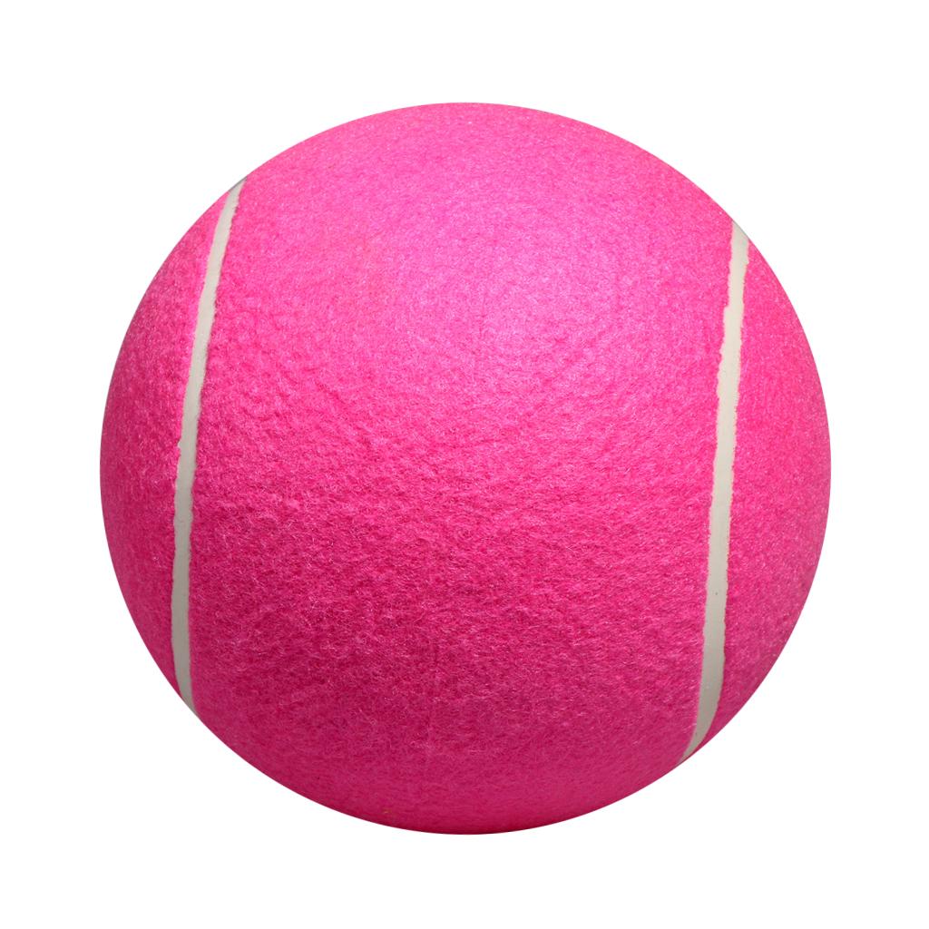 Dog Tennis Ball Toy Inflatable - Kids Toys Exhibition recension och pris