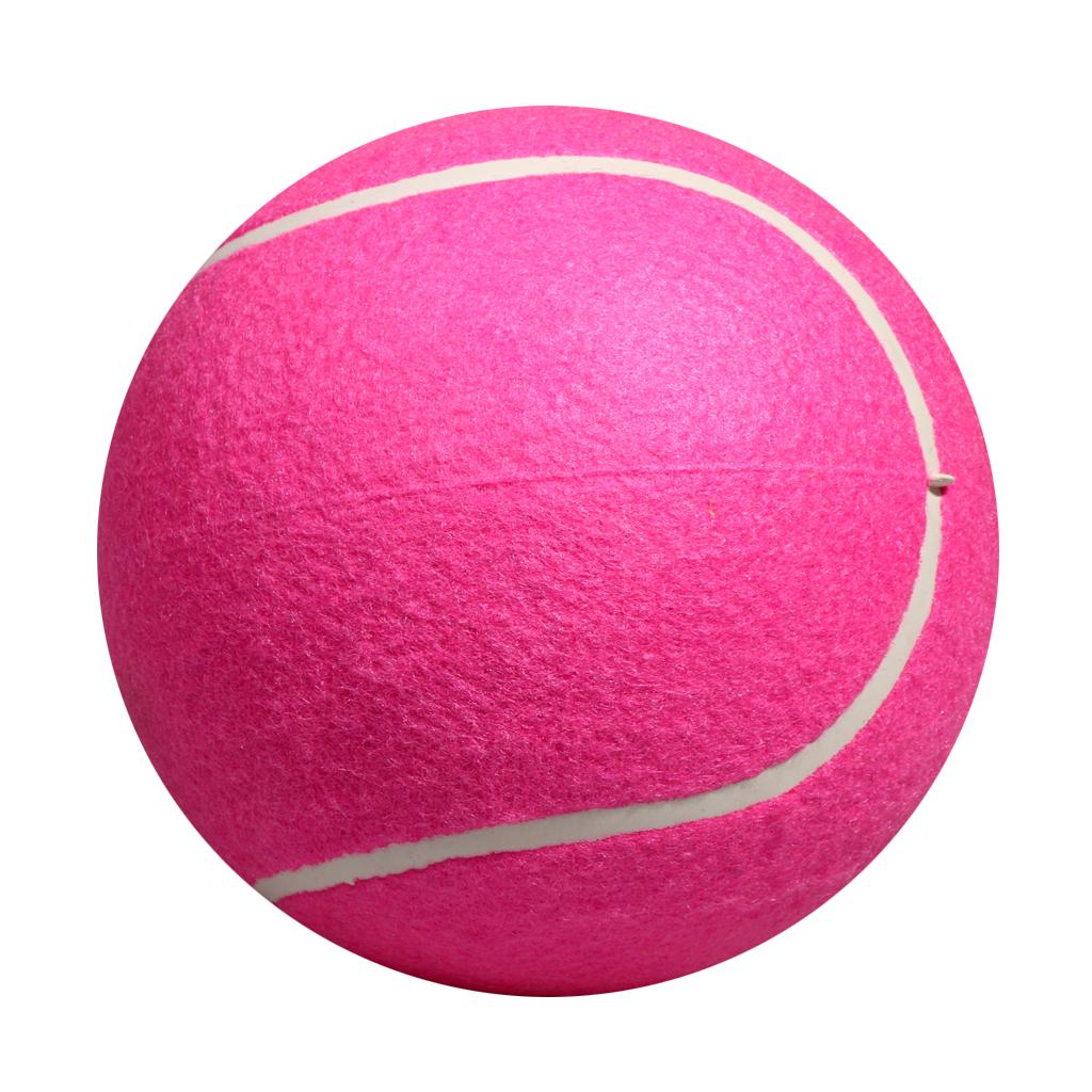 Dog Tennis Ball Toy Inflatable - Kids Toys Exhibition recension och pris