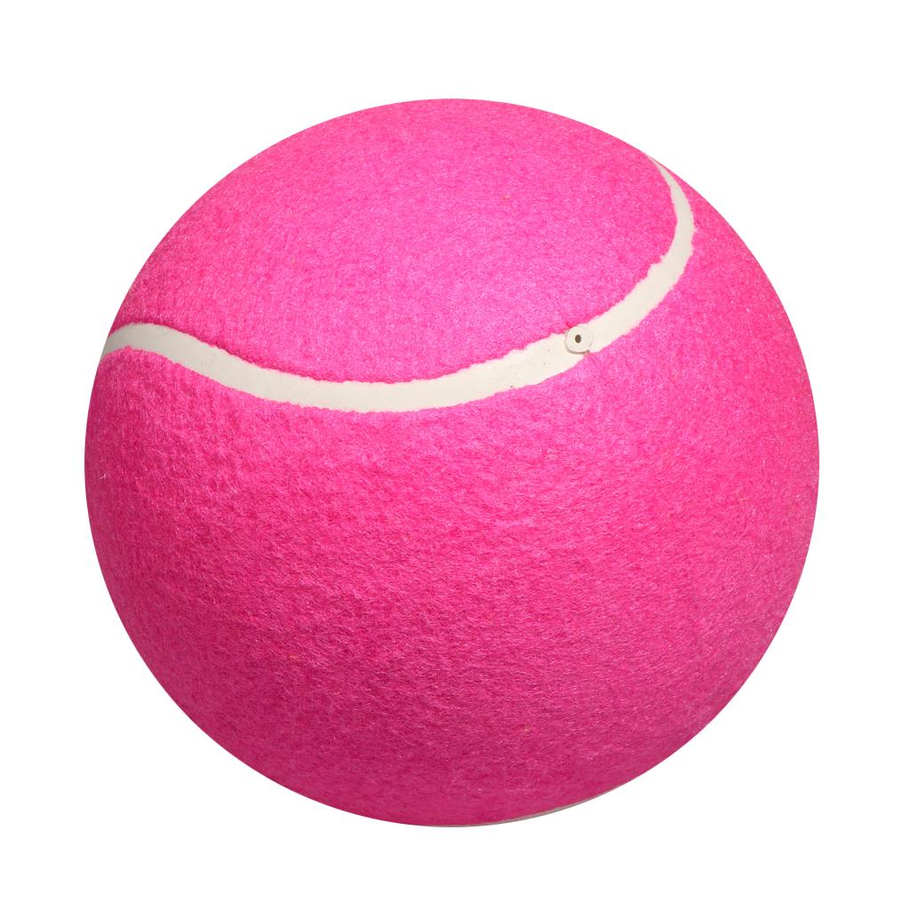 Dog Tennis Ball Toy Inflatable - Kids Toys Exhibition recension och pris